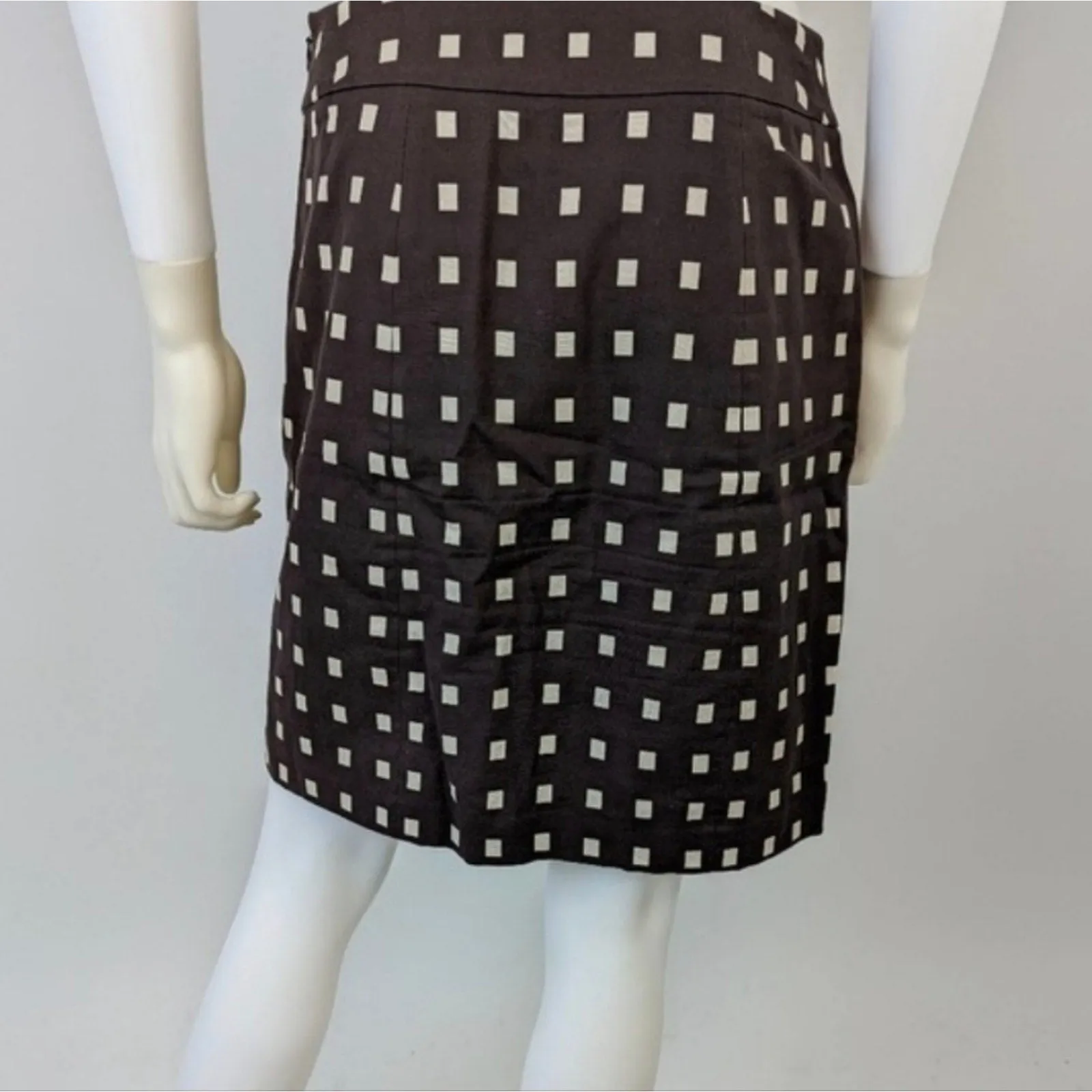 Ann Taylor Pencil Skirt / 2P