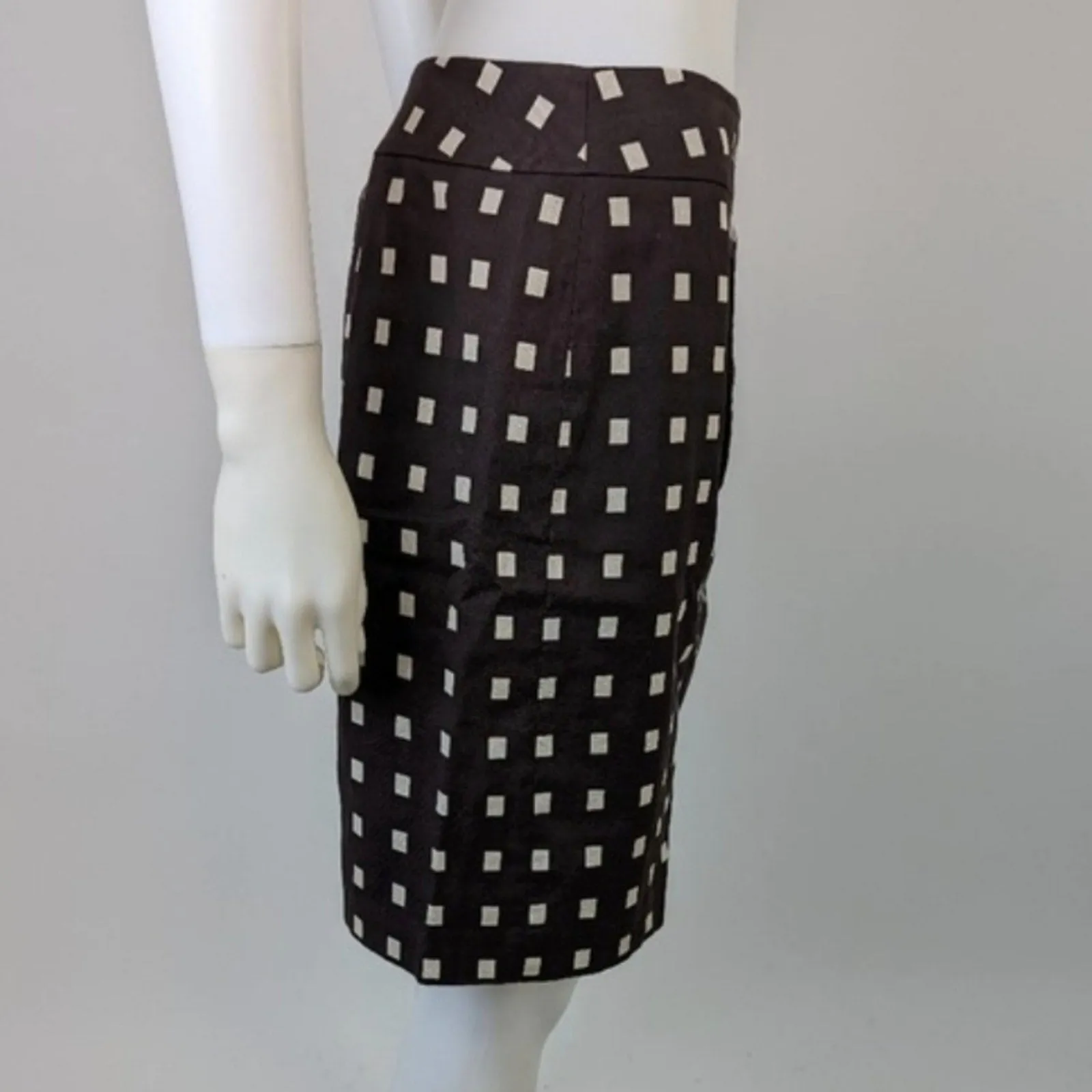 Ann Taylor Pencil Skirt / 2P