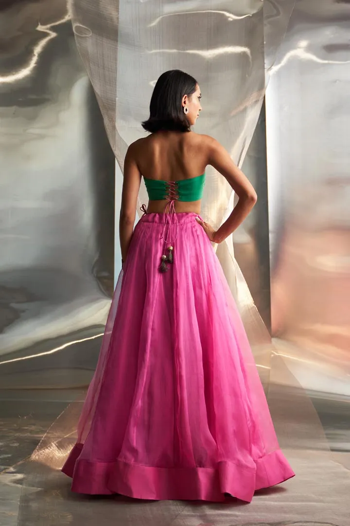 Mis'r Embroidered Organza Lehenga Set