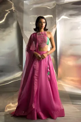 Mis'r Embroidered Organza Lehenga Set