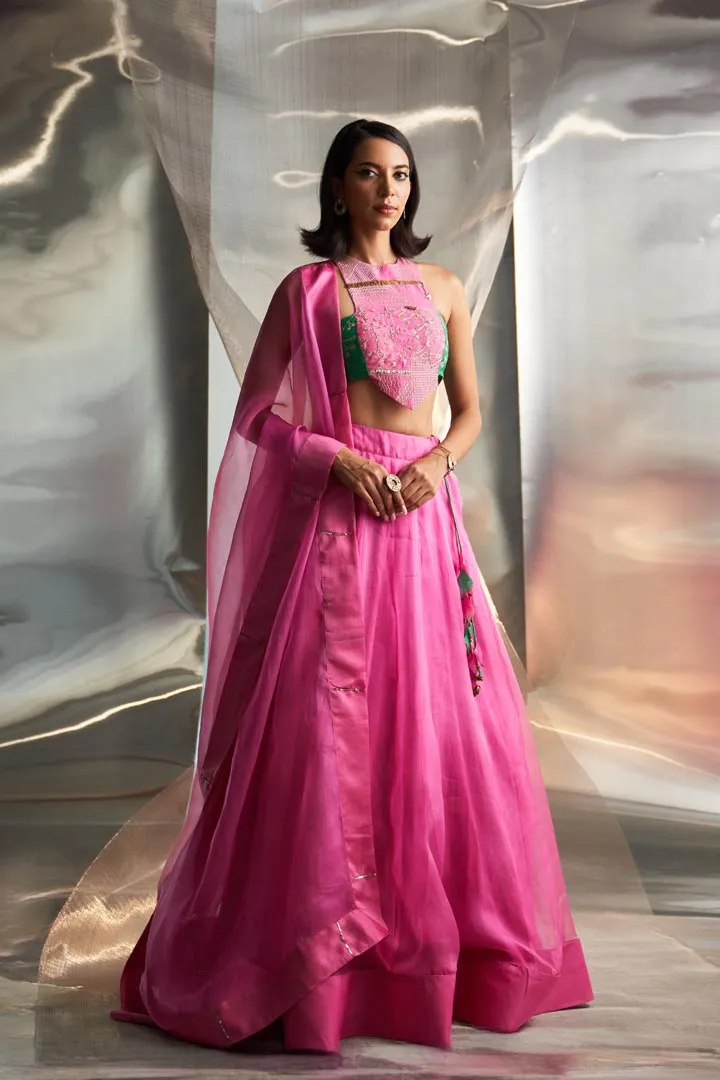 Mis'r Embroidered Organza Lehenga Set