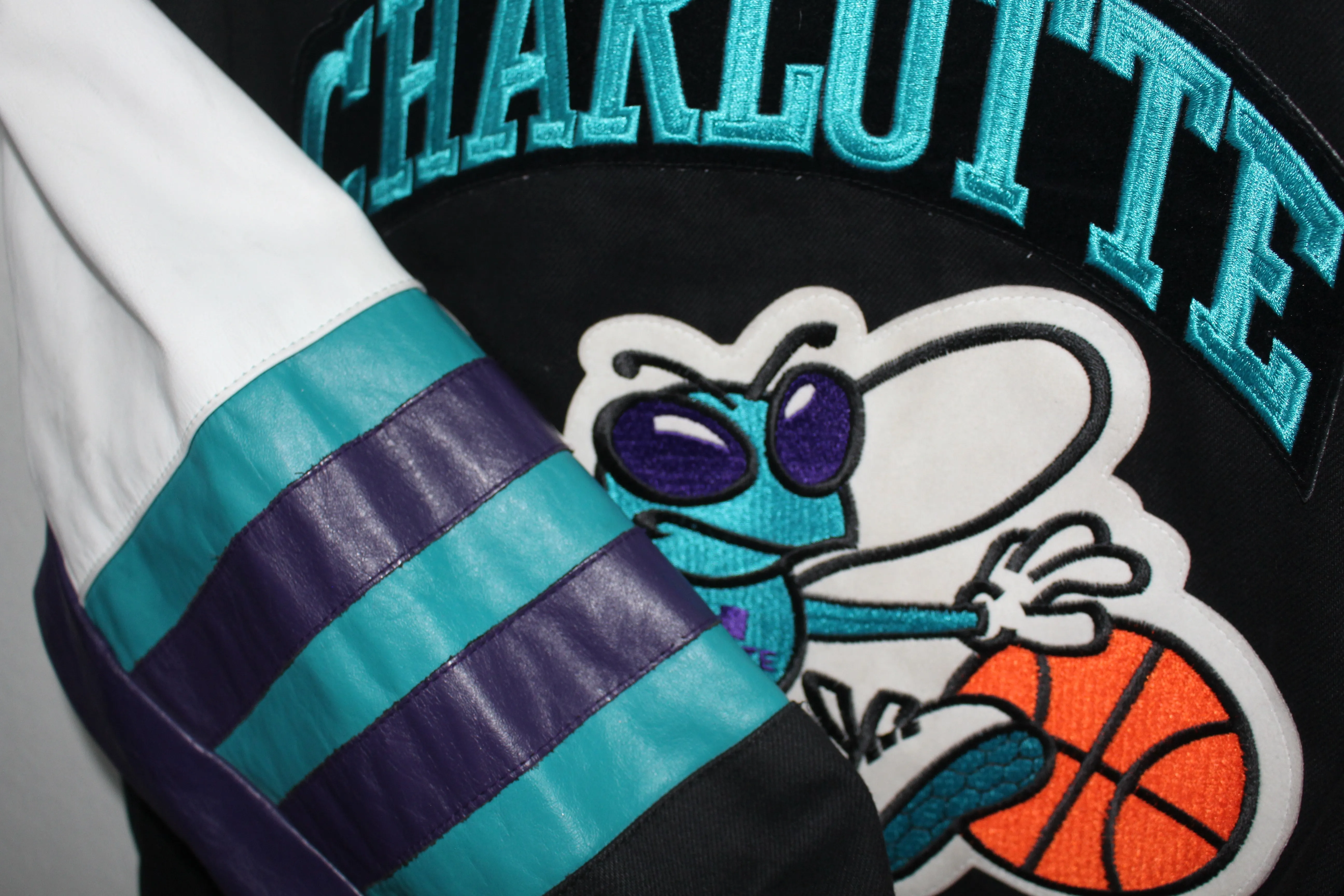 Rare Charlotte Hornets Leather Jeff Hamilton (L)