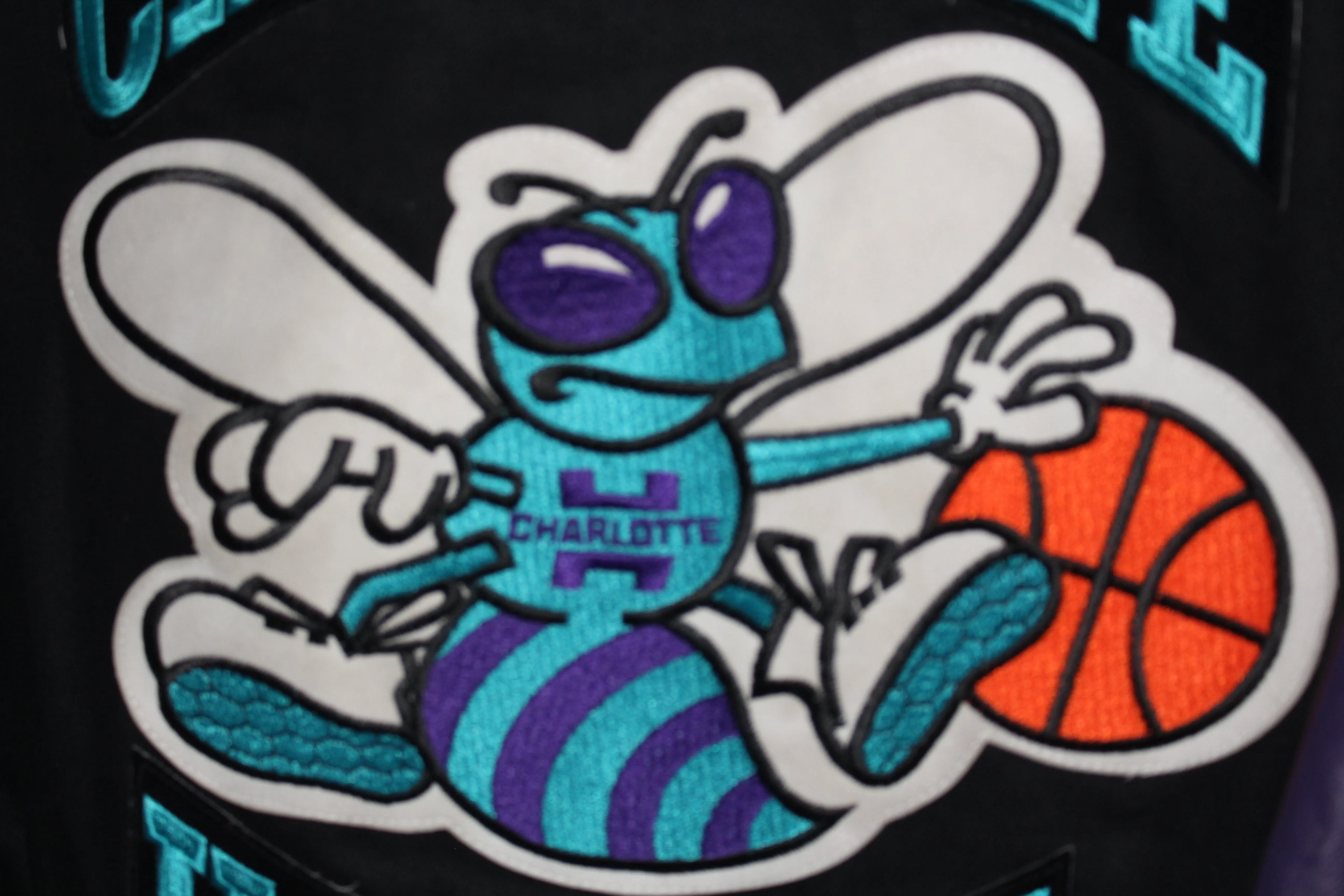 Rare Charlotte Hornets Leather Jeff Hamilton (L)